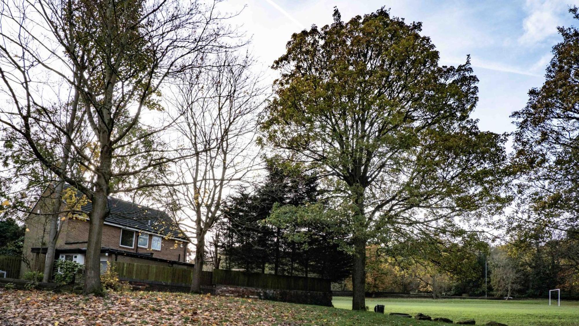 Cross Lane Cottage Pudsey Εξωτερικό φωτογραφία